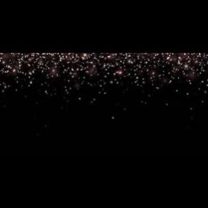 Meet your Posher, Janara